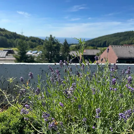 Panorama-maisonette Schwarzwald I Pool & Terasse Apartamento *